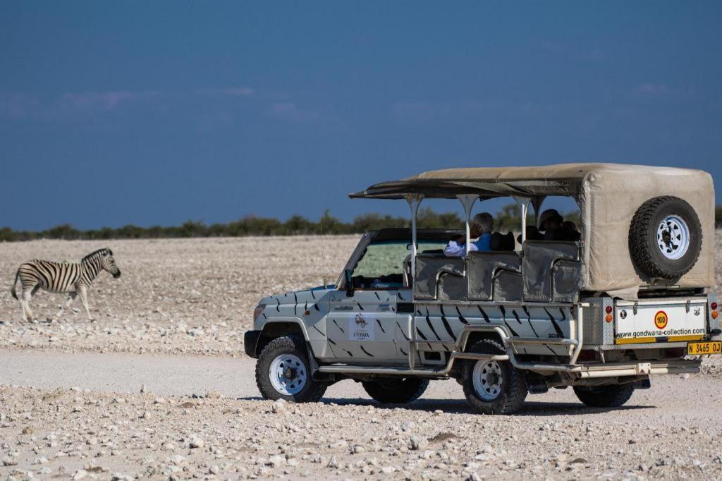 Etosha Safari Lodge, Etosha National Park, Namibia オカウクエジョ エクステリア 写真