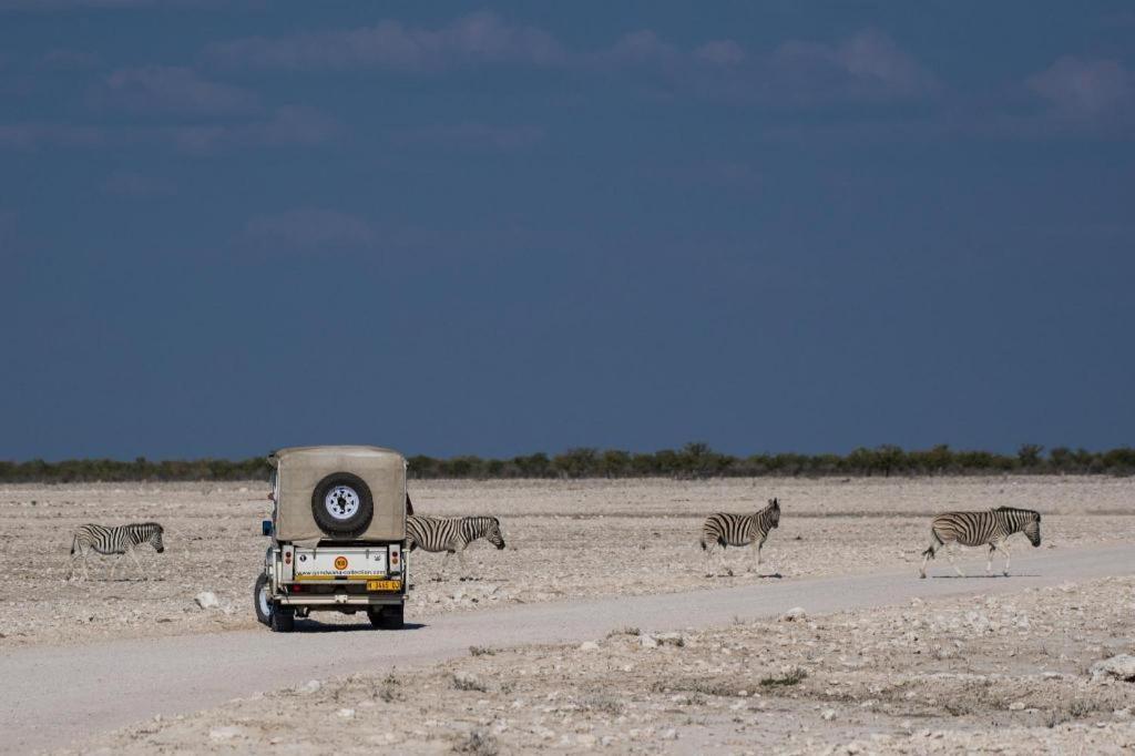 Etosha Safari Lodge, Etosha National Park, Namibia オカウクエジョ エクステリア 写真