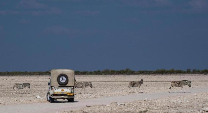 Etosha Safari Lodge, Etosha National Park, Namibia オカウクエジョ エクステリア 写真